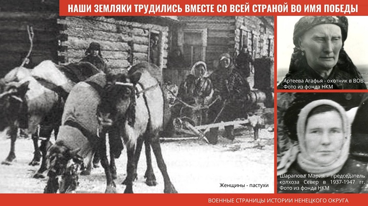 3.jpg 3.jpg