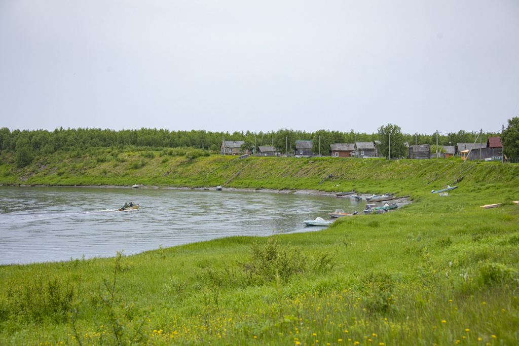 IIBR2296 1.jpg IIBR2296 1.jpg
