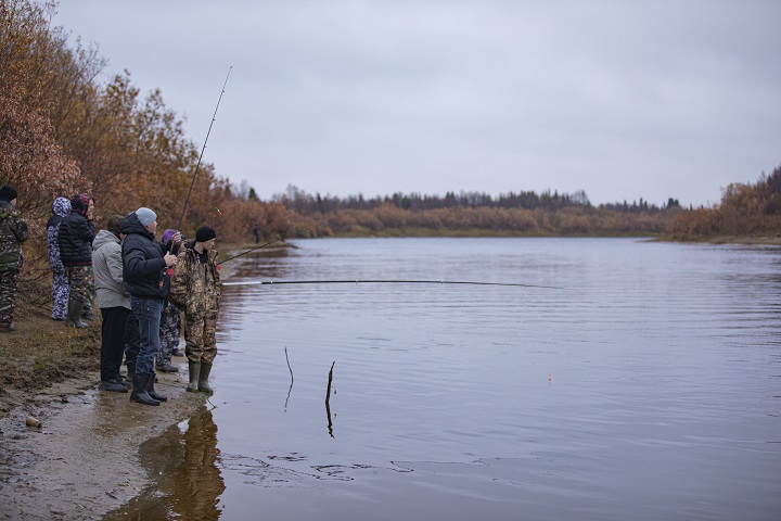 IIBR9757 2.jpg IIBR9757 2.jpg